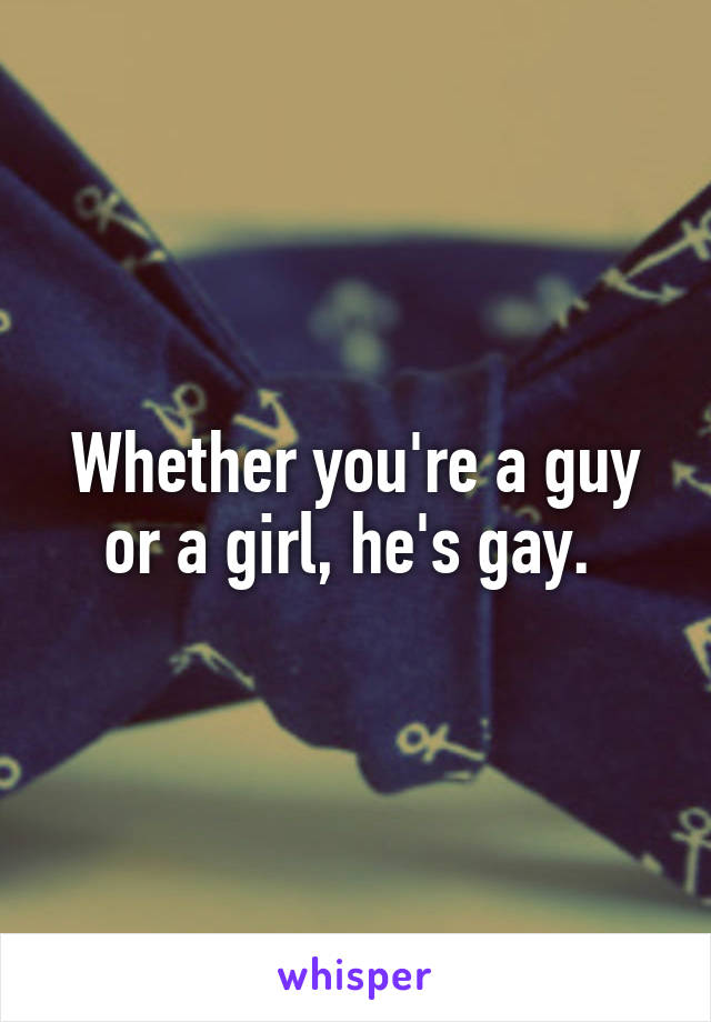 Whether you're a guy or a girl, he's gay. 