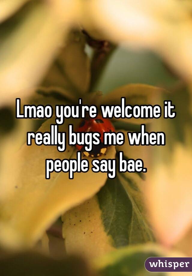 Lmao you're welcome it really bugs me when people say bae. 