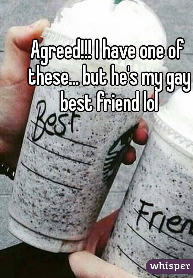 Agreed!!! I have one of these... but he's my gay best friend lol