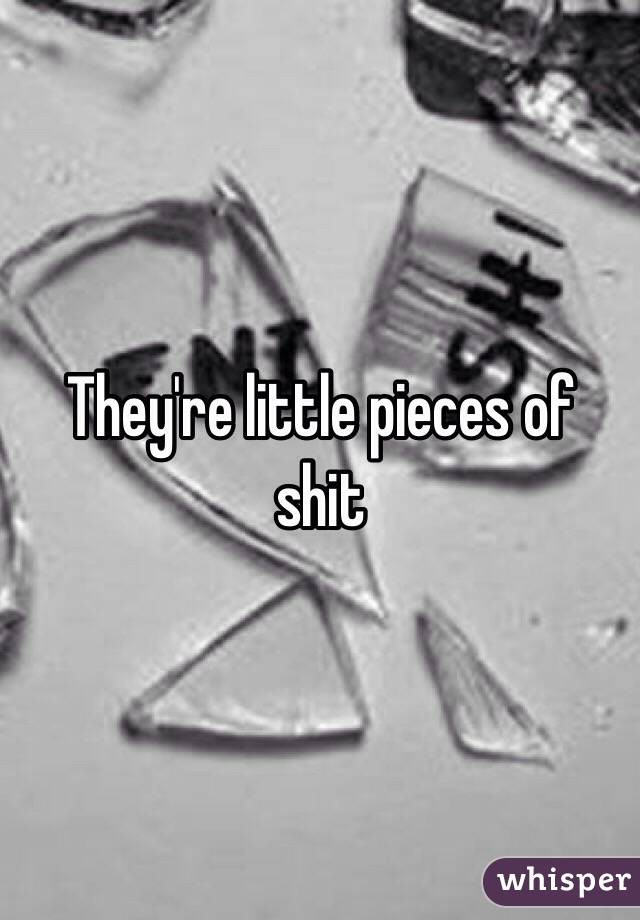 They're little pieces of shit