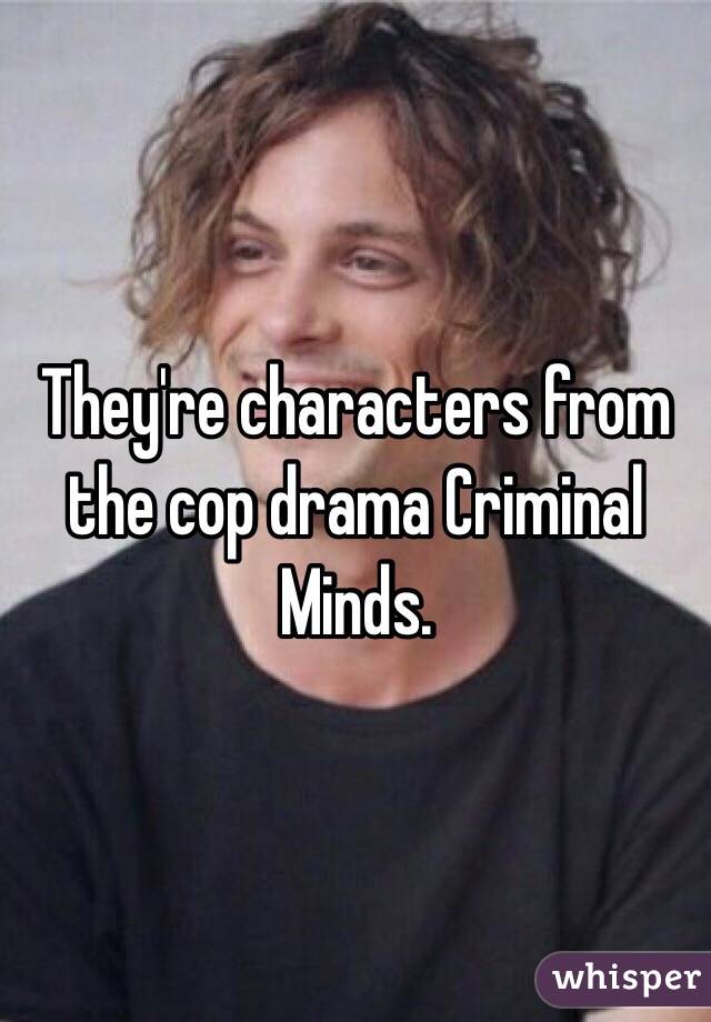 They're characters from the cop drama Criminal Minds.