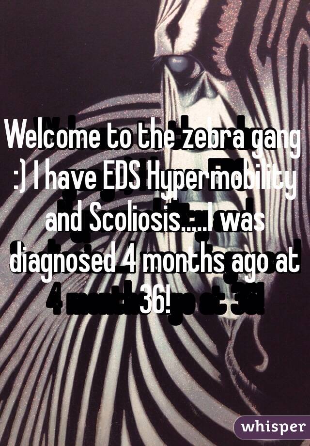 Welcome to the zebra gang :) I have EDS Hypermobility and Scoliosis.....I was diagnosed 4 months ago at 36!  