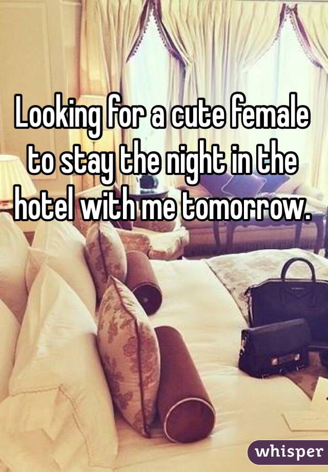 Looking for a cute female to stay the night in the hotel with me tomorrow. 