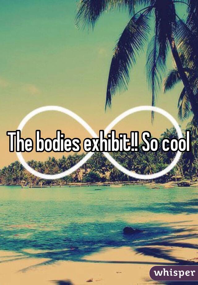 The bodies exhibit!! So cool 