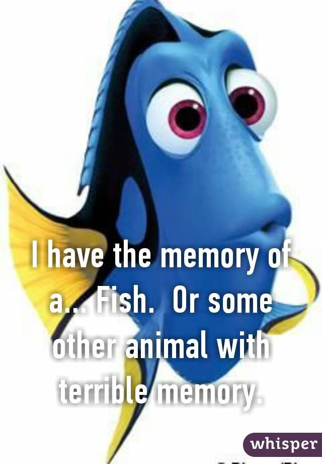 I have the memory of a... Fish.  Or some other animal with terrible memory. 