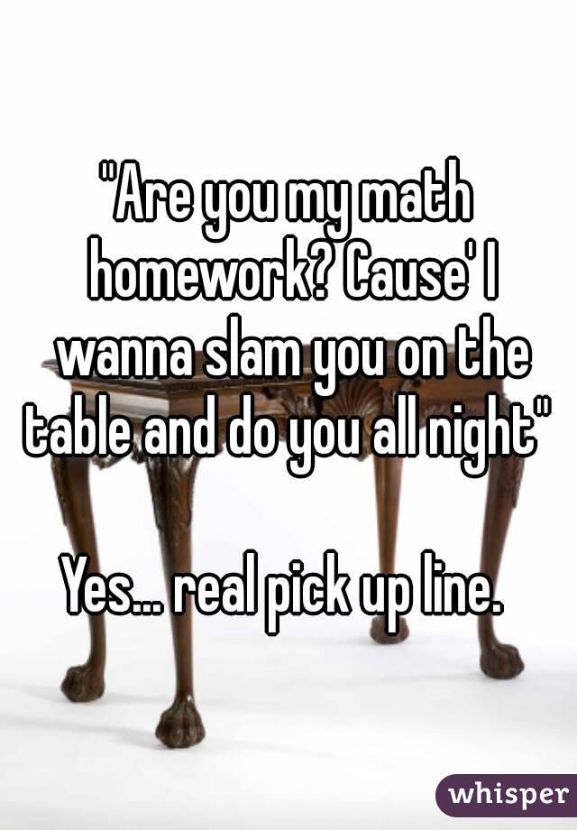 are you my math homework pick up line