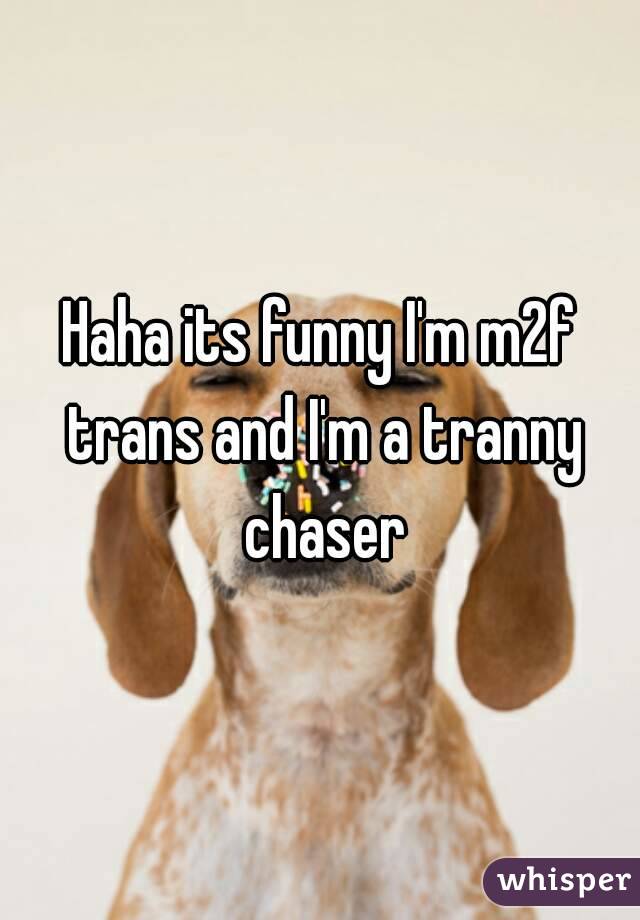 Haha its funny I'm m2f trans and I'm a tranny chaser
