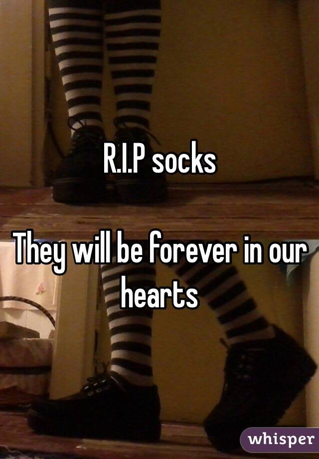 R.I.P socks 

They will be forever in our hearts 