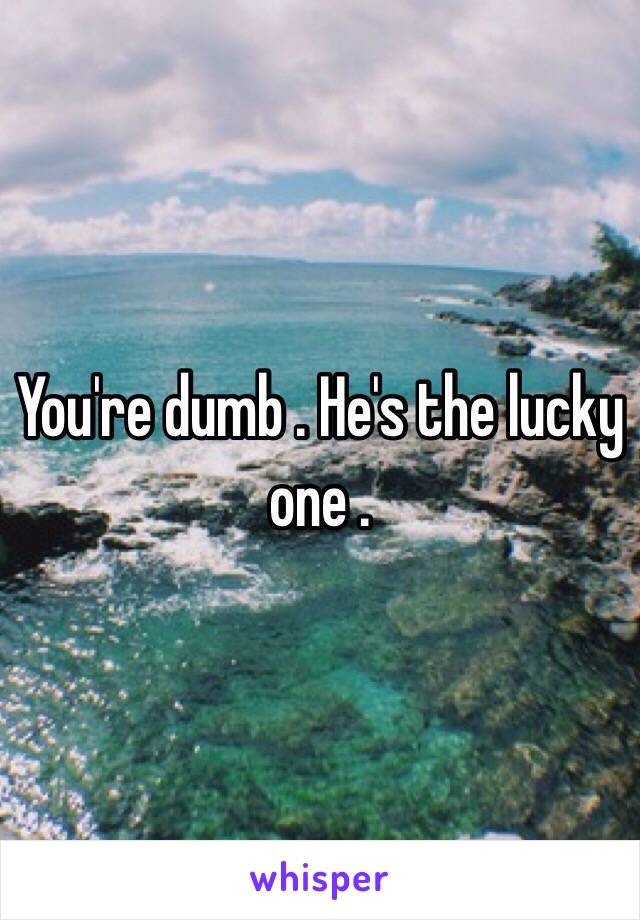 You're dumb . He's the lucky one . 