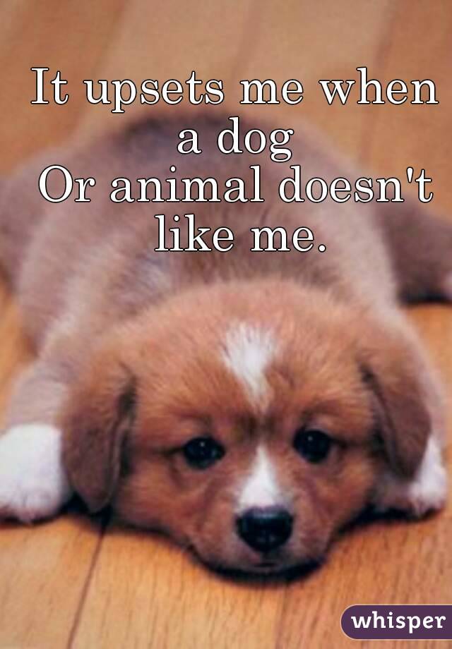 It upsets me when a dog 
Or animal doesn't like me.
