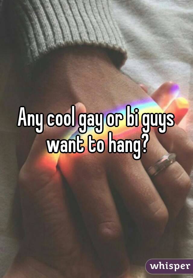 Any cool gay or bi guys want to hang?