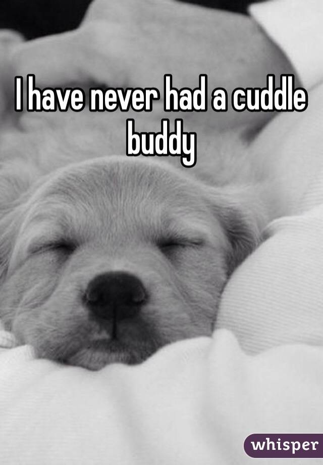 I have never had a cuddle buddy 