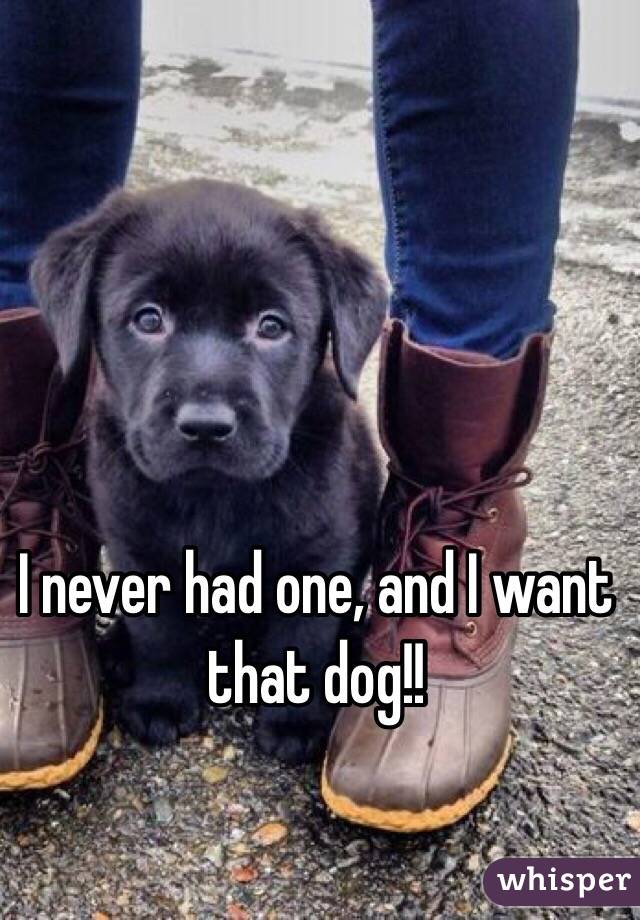 I never had one, and I want that dog!!