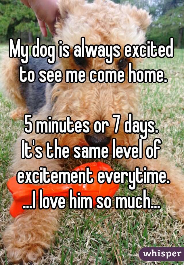 My dog is always excited to see me come home.

5 minutes or 7 days.
It's the same level of excitement everytime.
...I love him so much...