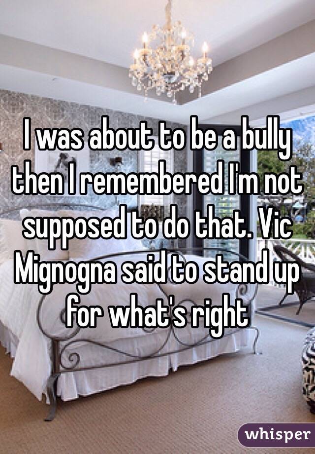 I was about to be a bully then I remembered I'm not supposed to do that. Vic Mignogna said to stand up for what's right