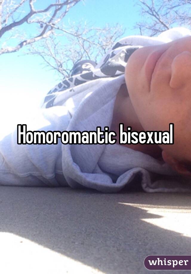 Homoromantic bisexual