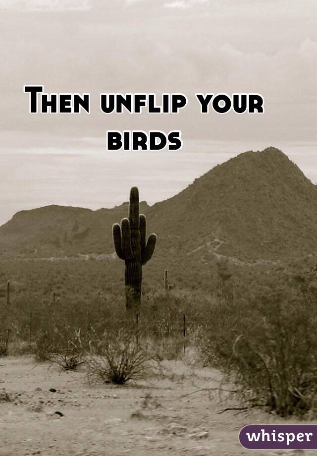 Then unflip your birds