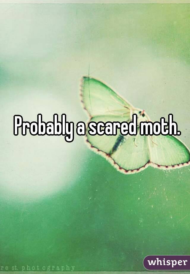 Probably a scared moth.
