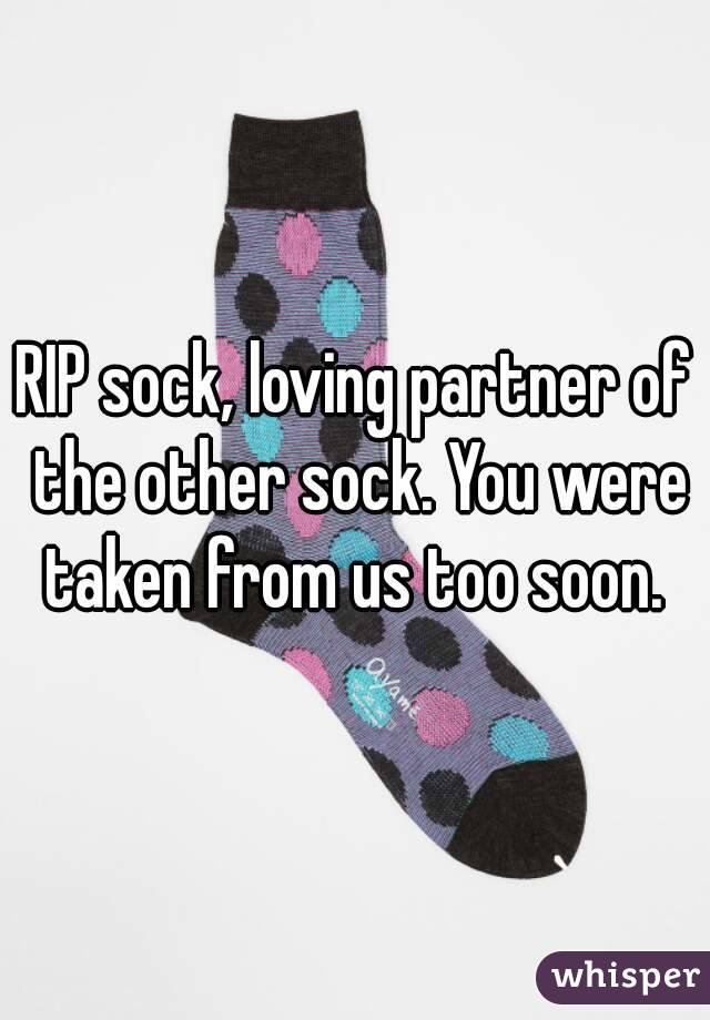 RIP sock, loving partner of the other sock. You were taken from us too soon. 