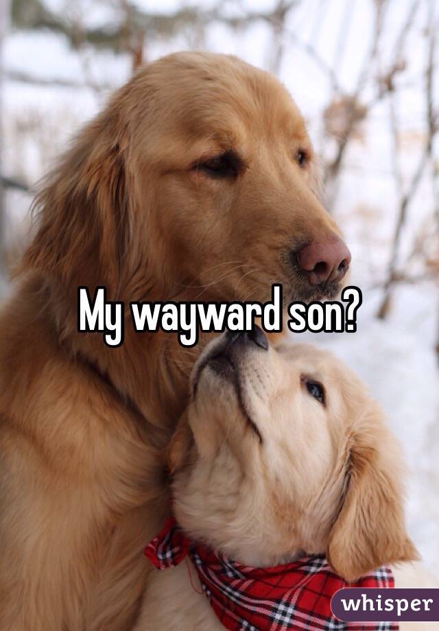 My wayward son?