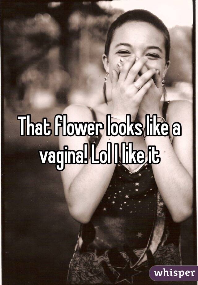 Hasil gambar untuk flower like vagina