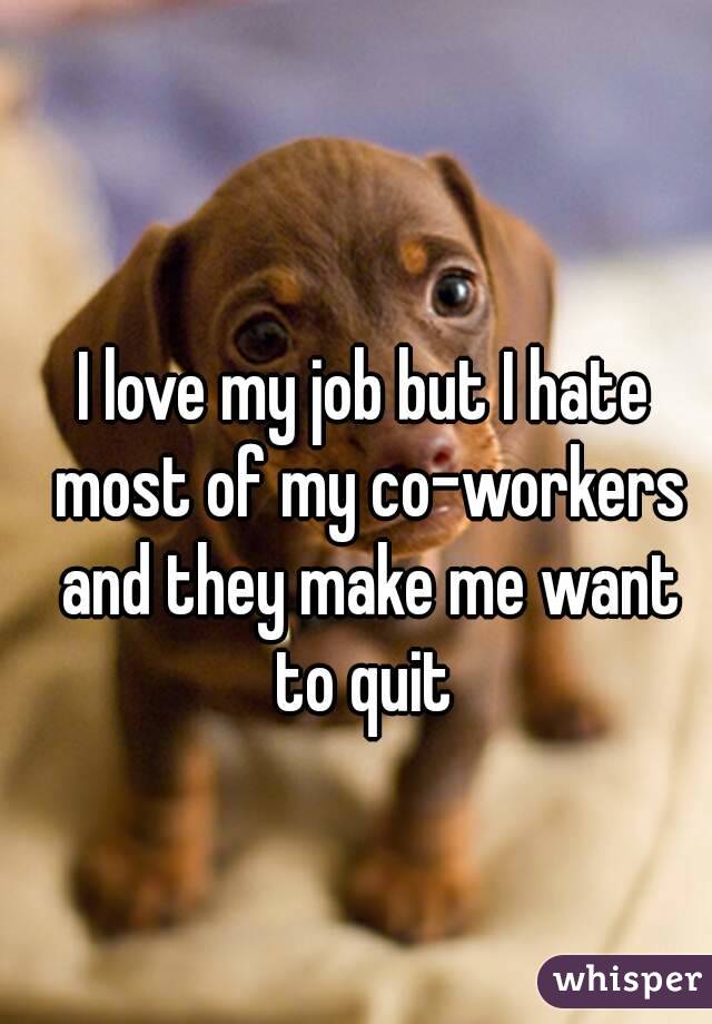 I love my job but I hate most of my co-workers and they make me want to quit 