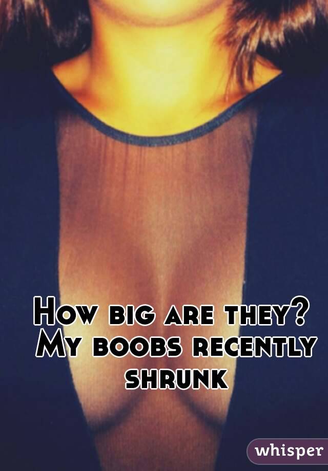 How big are they? My boobs recently shrunk
