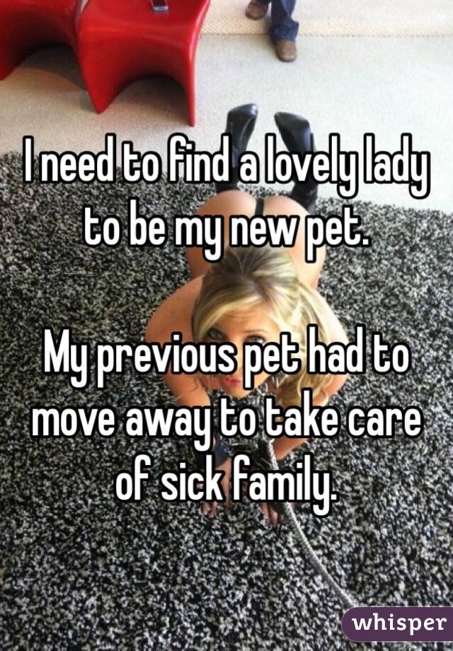 I need to find a lovely lady to be my new pet. 

My previous pet had to move away to take care of sick family. 