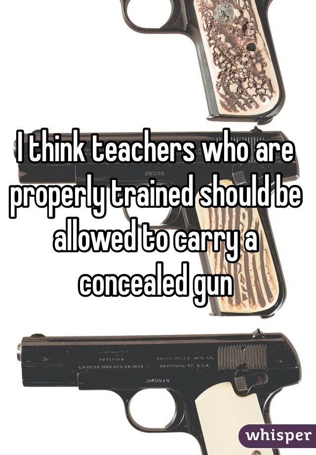 I think teachers who are properly trained should be allowed to carry a concealed gun