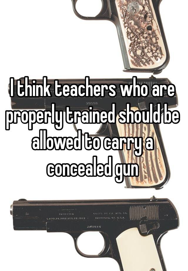 I think teachers who are properly trained should be allowed to carry a concealed gun