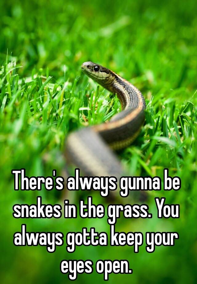 NickyNuAImusic Snakes In The Grass Lyrics