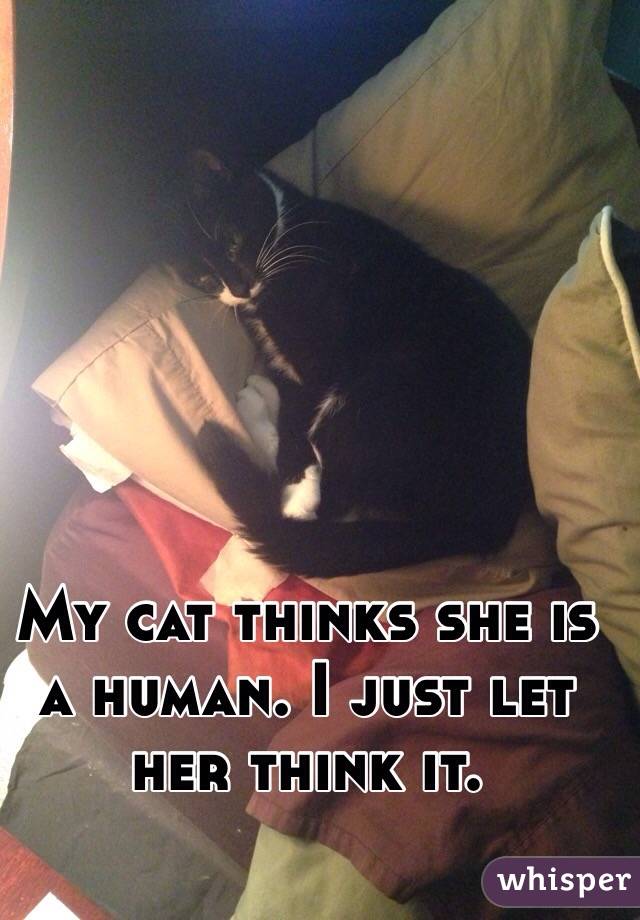 My cat thinks she is a human. I just let her think it.