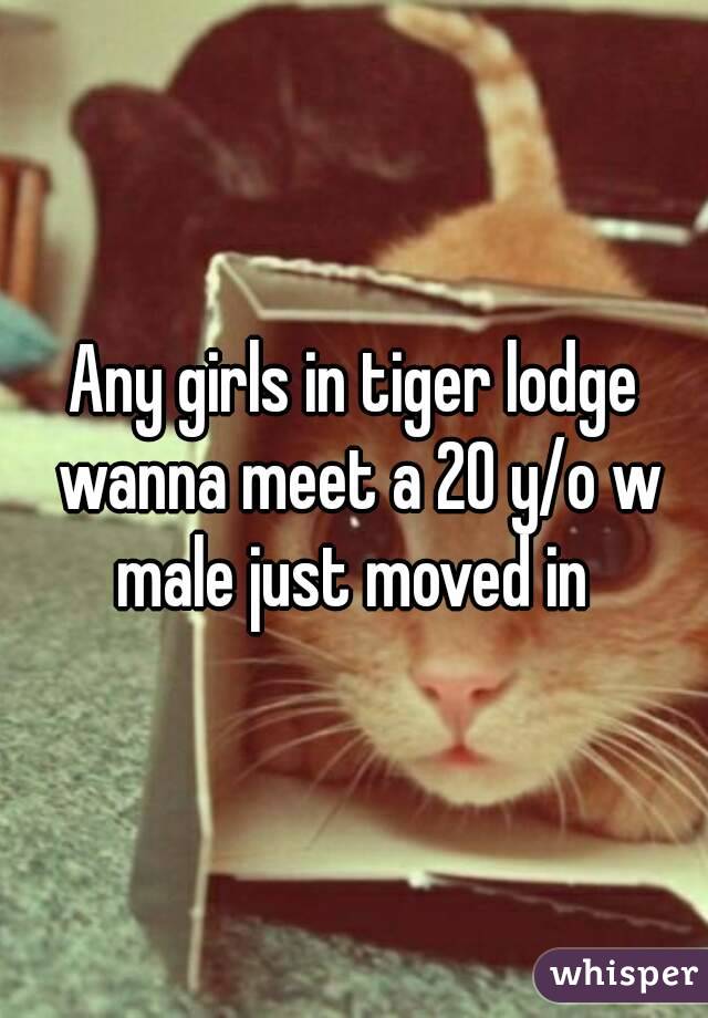 Any girls in tiger lodge wanna meet a 20 y/o w male just moved in 