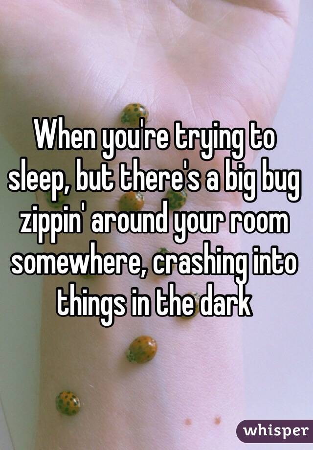 When you're trying to sleep, but there's a big bug zippin' around your room somewhere, crashing into things in the dark