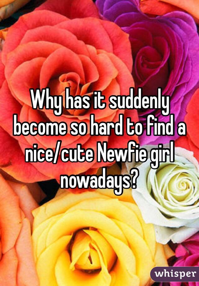 Why has it suddenly become so hard to find a nice/cute Newfie girl nowadays?