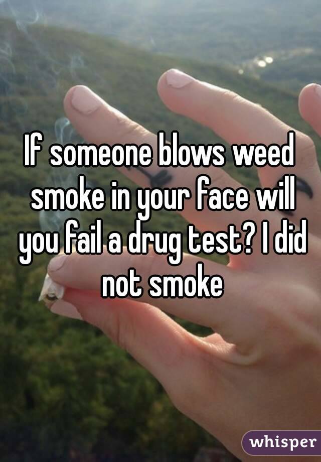 If someone blows weed smoke in your face will you fail a drug test? I did not smoke