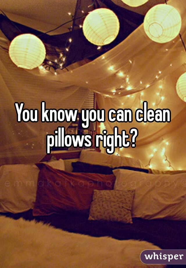 You know you can clean pillows right? 