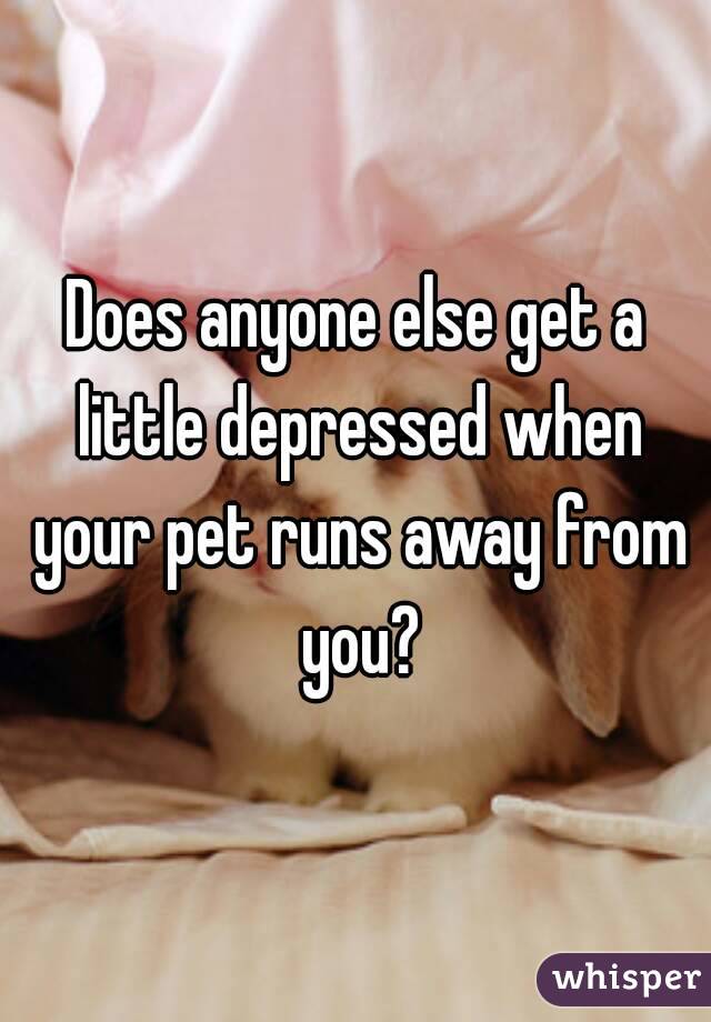 Does anyone else get a little depressed when your pet runs away from you?