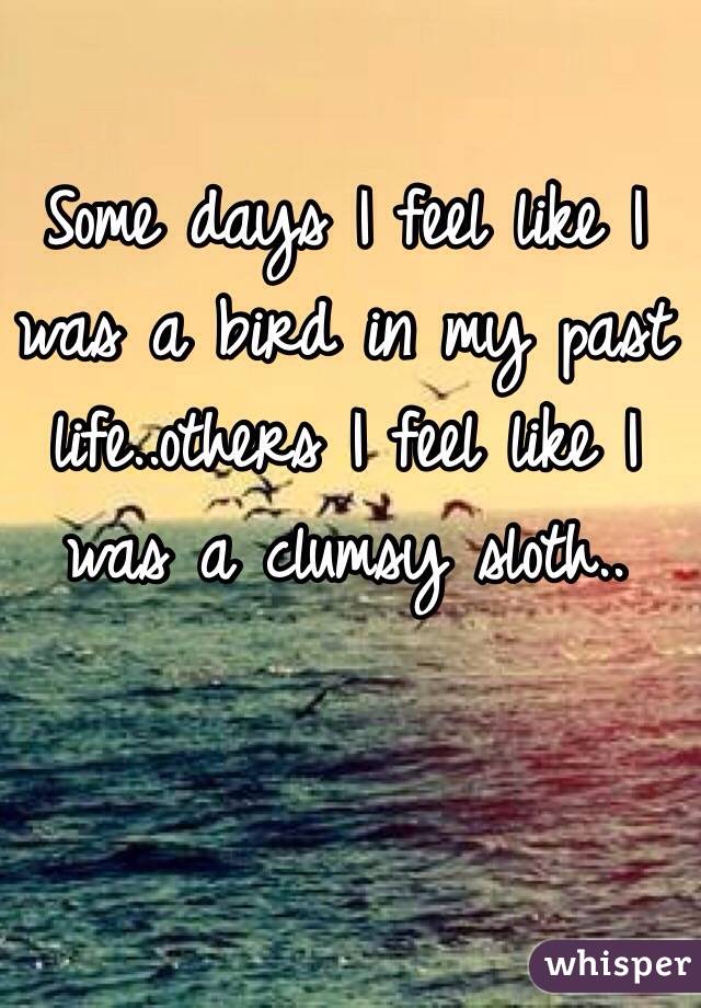 Some days I feel like I was a bird in my past life..others I feel like I was a clumsy sloth..