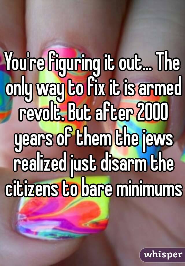 You're figuring it out... The only way to fix it is armed revolt. But after 2000 years of them the jews realized just disarm the citizens to bare minimums
