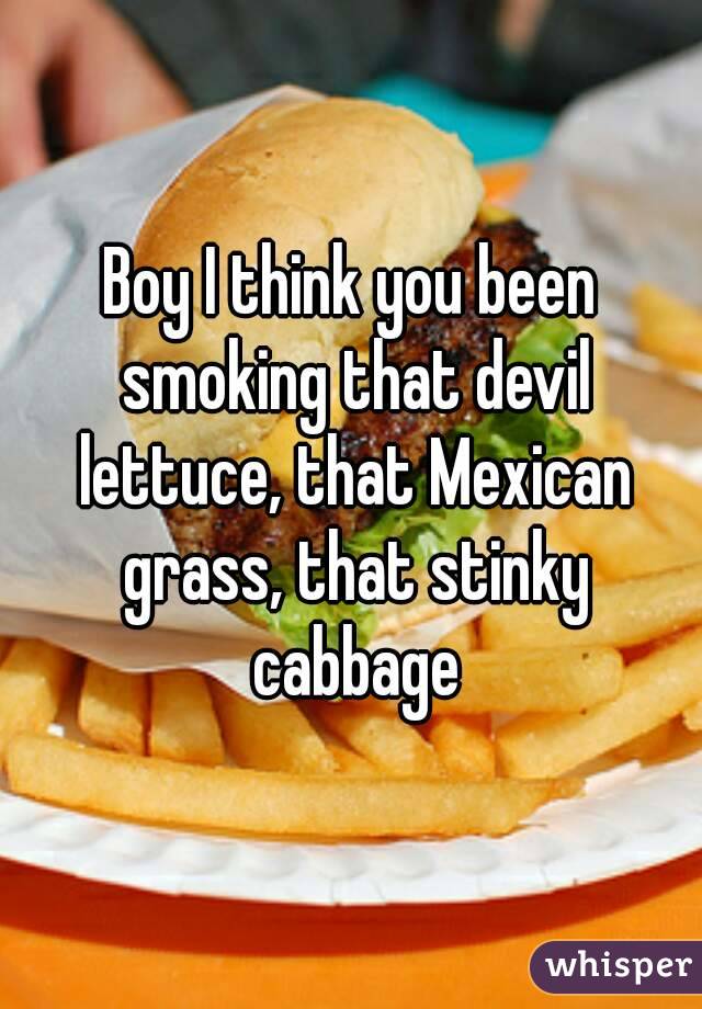 Boy I think you been smoking that devil lettuce, that Mexican grass, that stinky cabbage