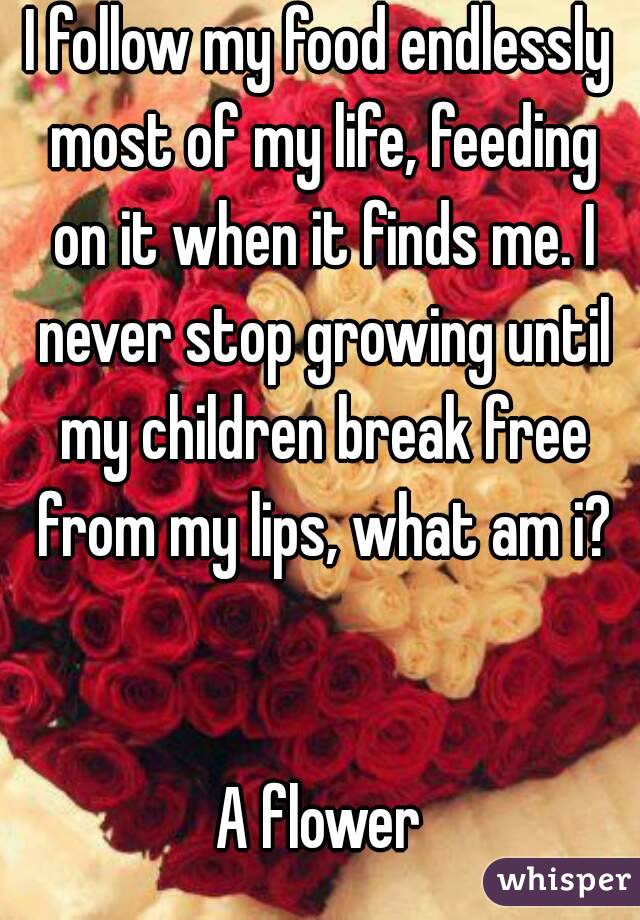 I follow my food endlessly most of my life, feeding on it when it finds me. I never stop growing until my children break free from my lips, what am i?


A flower