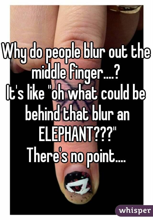 Why do people blur out the middle finger....? 
It's like "oh what could be behind that blur an ELEPHANT???"
There's no point....