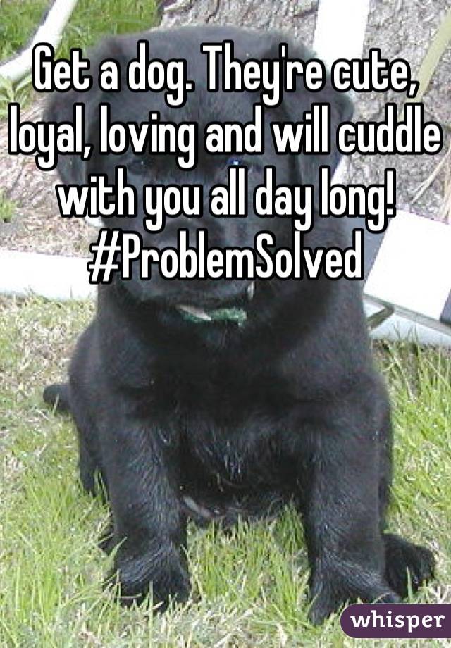 Get a dog. They're cute, loyal, loving and will cuddle with you all day long! #ProblemSolved