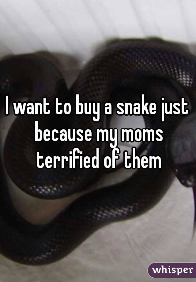 I want to buy a snake just because my moms terrified of them