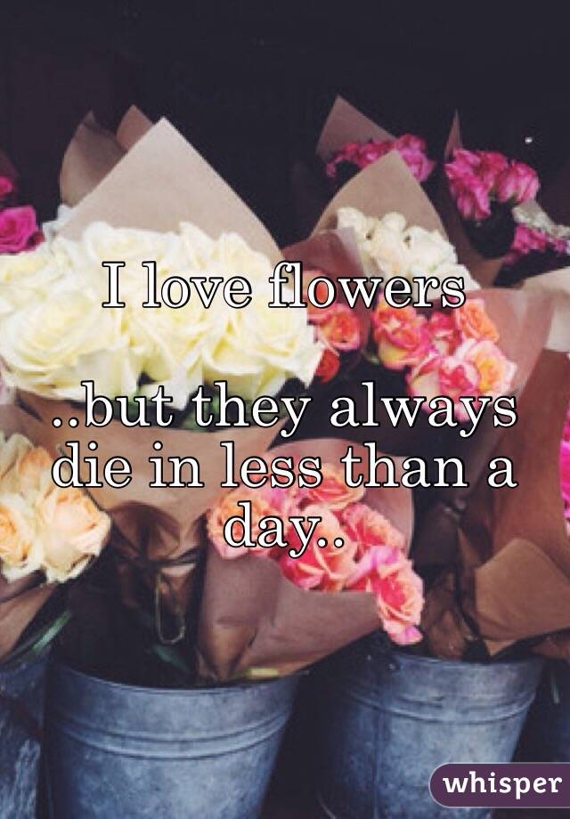 I love flowers

..but they always die in less than a day..
