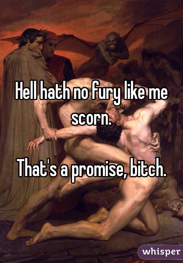 Hell hath no fury like me scorn. 

That's a promise, bitch. 
