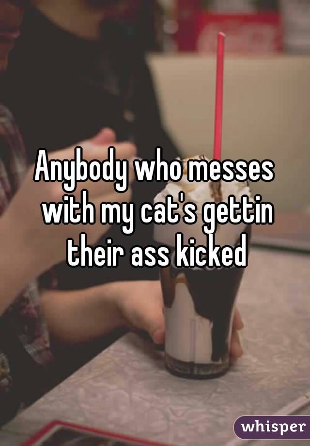 Anybody who messes with my cat's gettin their ass kicked