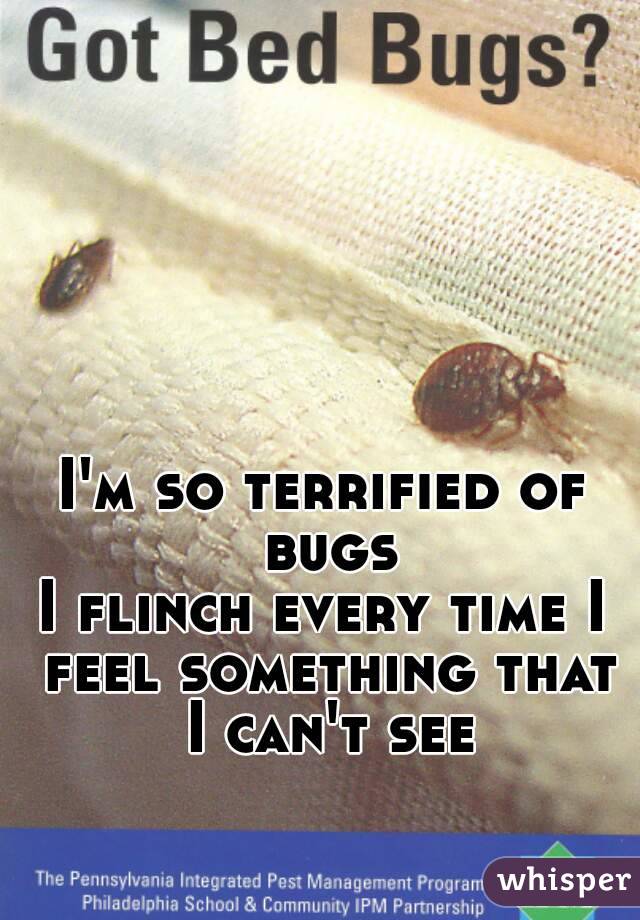 I'm so terrified of bugs
I flinch every time I feel something that I can't see
