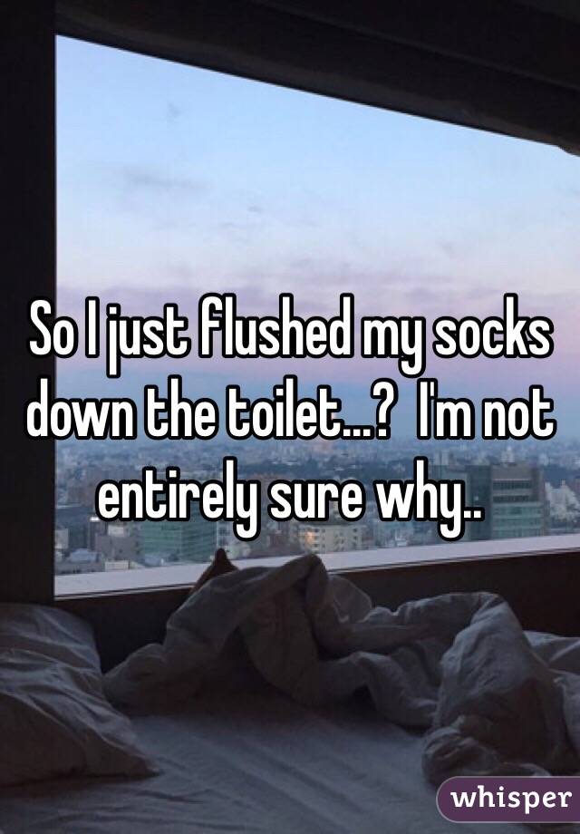 So I just flushed my socks down the toilet...?  I'm not entirely sure why..